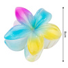 KLAMRA KWIAT szczęka duża SPINKA do włosów kwiatek Kwiat Plumerii HAWAJSKA